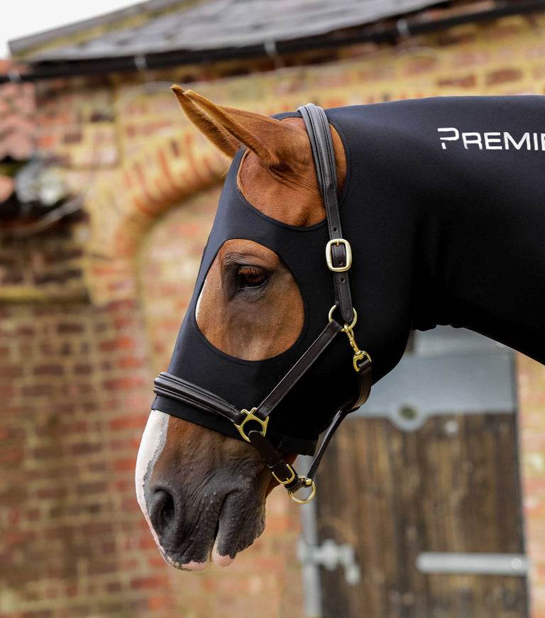 Premier Equine Stretch Lycra Hood - N P Equestrian & Pet Supplies Ltd 