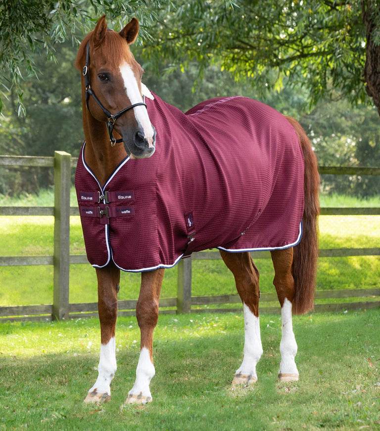 Premier Equine Buster Waffle Horse Cooler Rug - N P Equestrian & Pet Supplies Ltd 