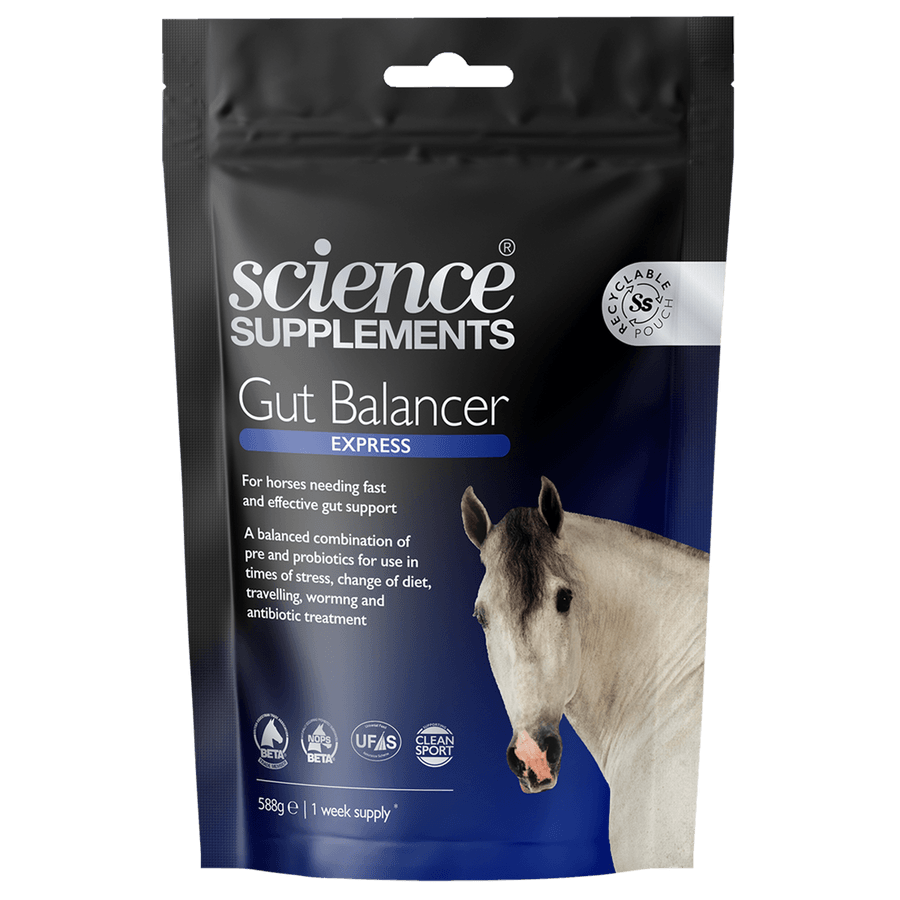 Science Supplements Gut Balancer Express - N P Equestrian & Pet Supplies Ltd 