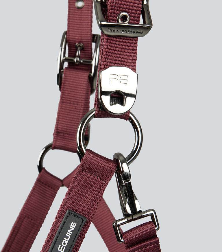 Premier Equine Corda Padded Head Collar with Lead Rope - N P Equestrian & Pet Supplies Ltd 
