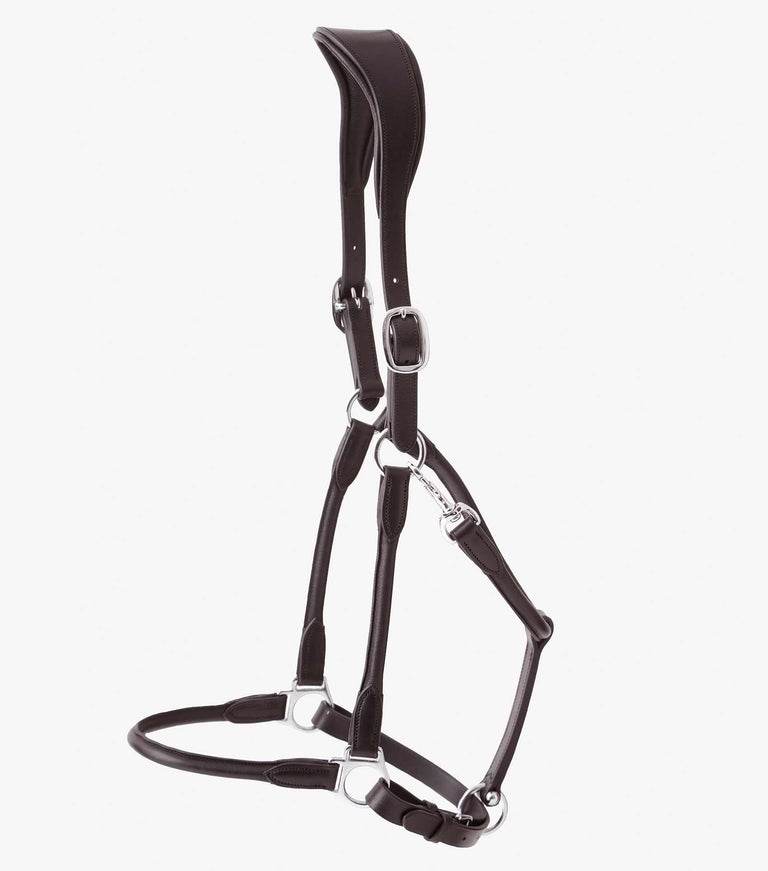 Premier Equine Hennaroso Rolled Anatomic Leather Head Collar - N P Equestrian & Pet Supplies Ltd 