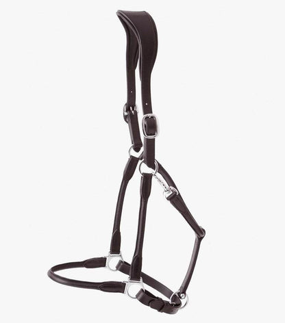 Premier Equine Hennaroso Rolled Anatomic Leather Head Collar - N P Equestrian & Pet Supplies Ltd 