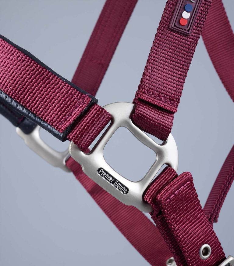 Premier Equine Plain Padded Horse Head Collar - N P Equestrian & Pet Supplies Ltd 