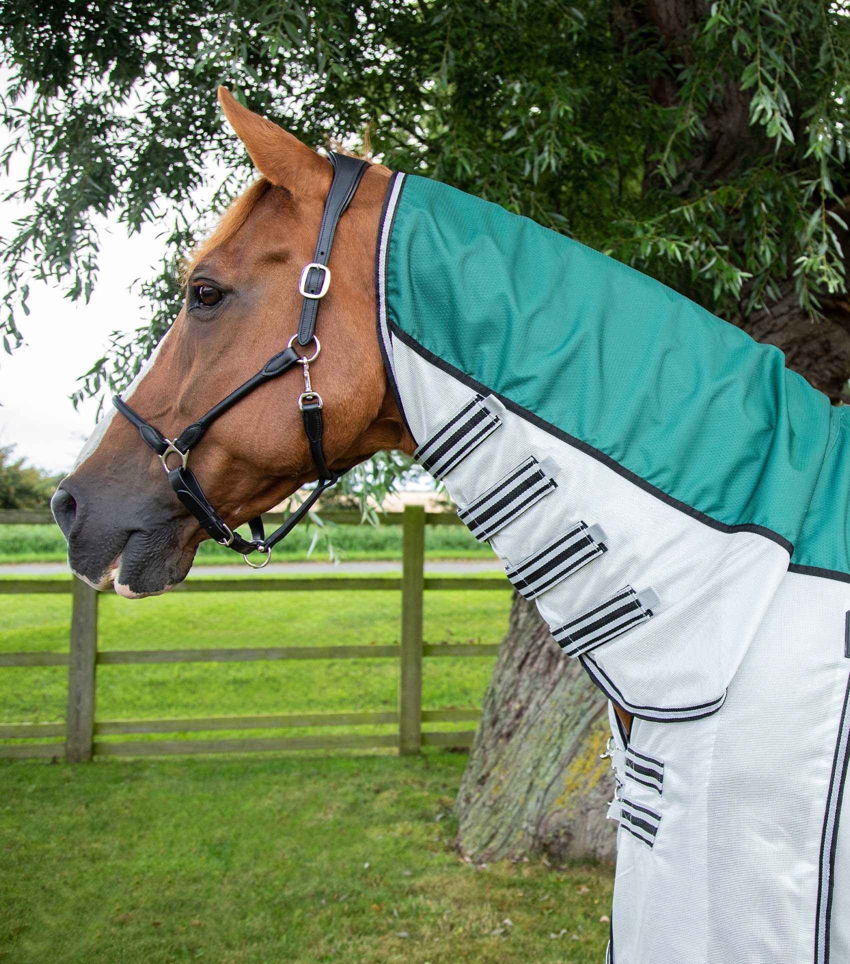 Premier Equine ShowerTex Fly Rug with Surcingles - Green