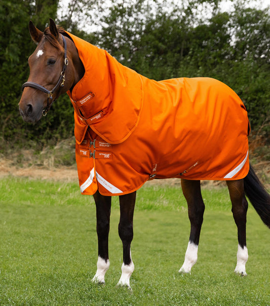 Premier Equine Stratus 1200 Series 200g Turnout Rug with Classic Neck Cover