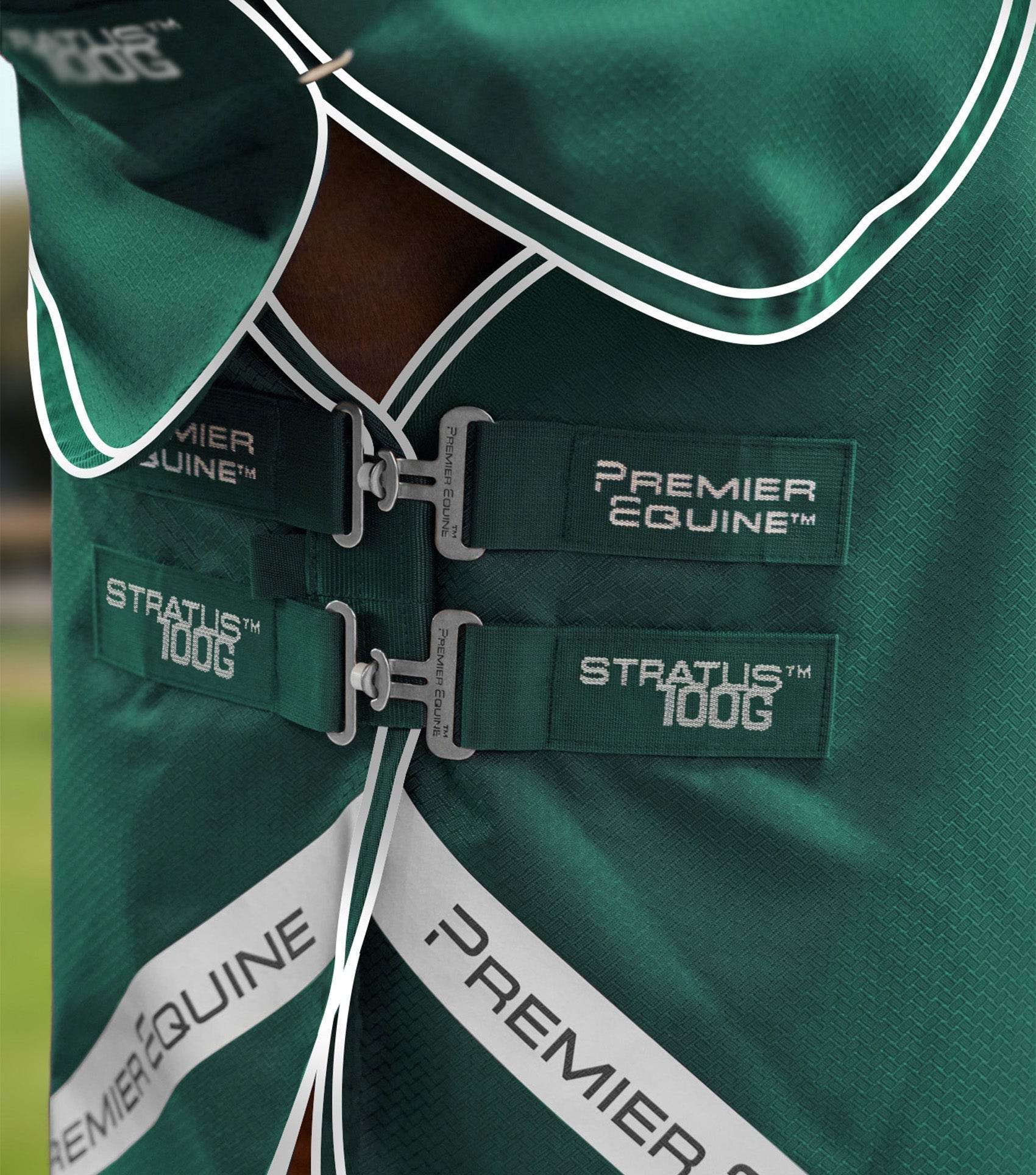 Premier Equine Stratus 600D Series 100g Turnout Rug with Neck Cover Green - N P Equestrian & Pet Supplies Ltd 