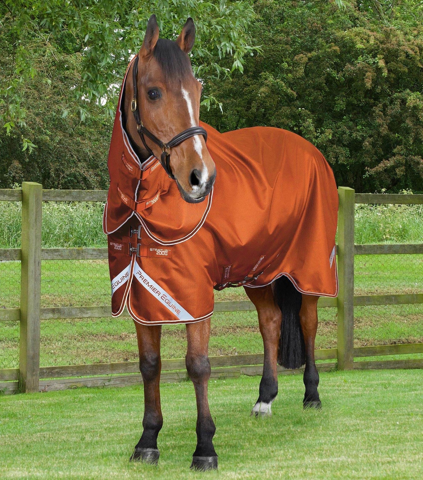 Premier Equine Stratus 600D Series 200g Turnout Rug with Classic Neck Cover Orange - N P Equestrian & Pet Supplies Ltd 