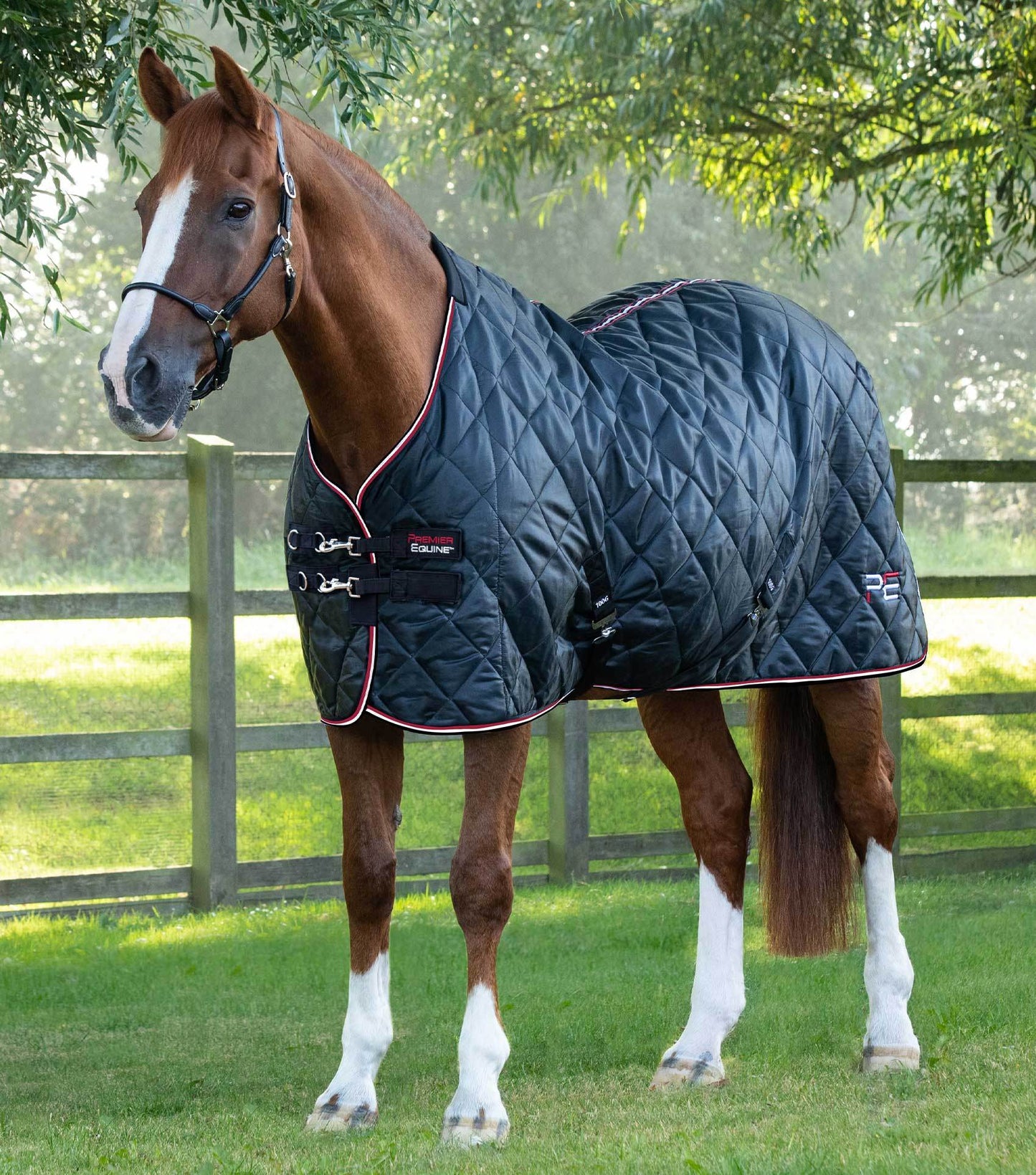 Premier Equine Tuscan Stable Rug 100g Black - N P Equestrian & Pet Supplies Ltd 