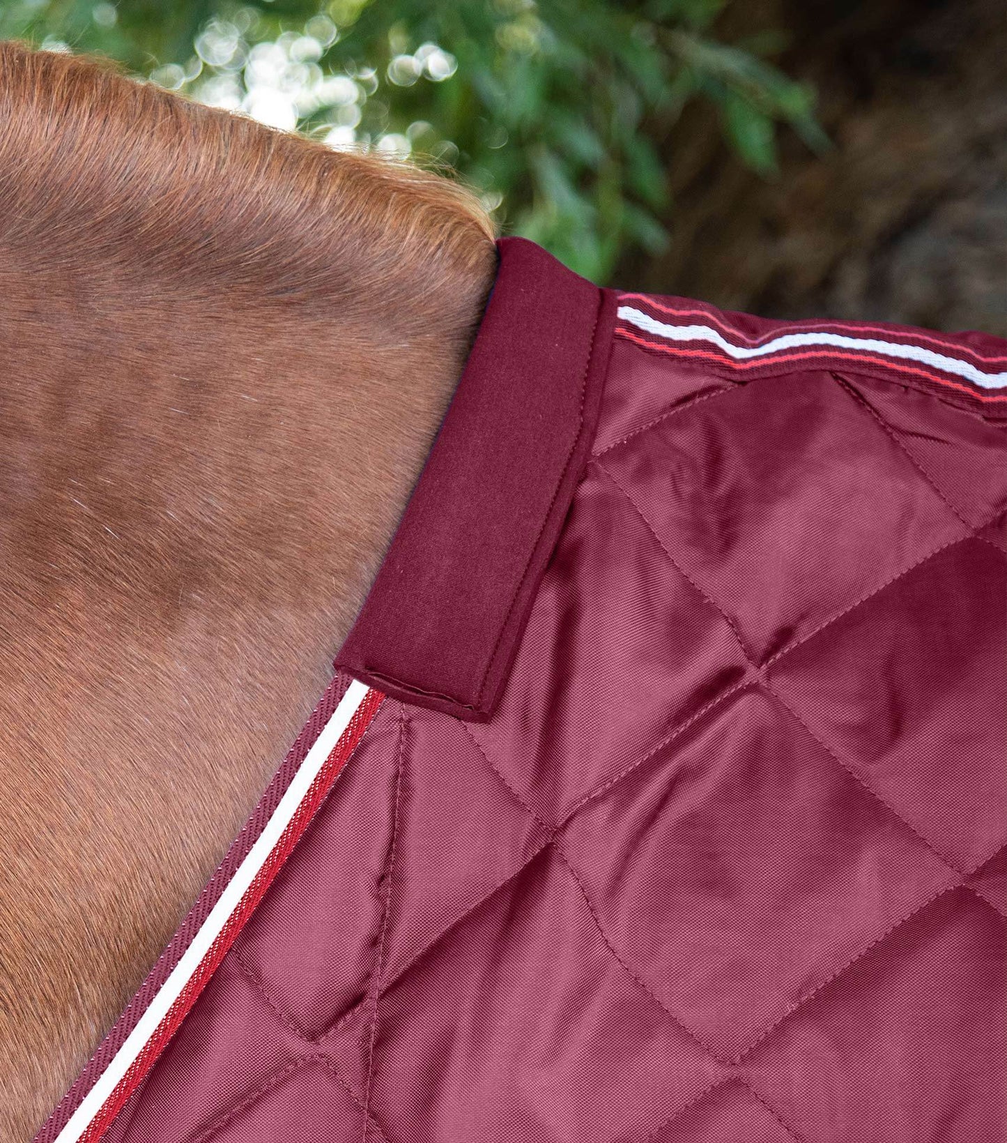 Premier Equine Tuscan Stable Rug 100g Burgundy - N P Equestrian & Pet Supplies Ltd 